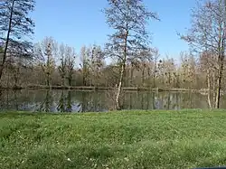 L'étang de Therdonne.