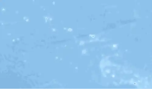 (Voir situation sur carte : îles Australes)