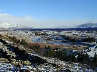 Image illustrative de l’article Þingvallaskógar
