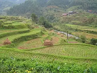 Xian de Suining (Hunan)