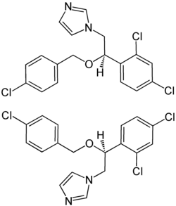 Image illustrative de l’article Éconazole