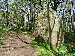 Plovan : l'"armoire de Saint-Kodelig" (en fait un menhir) ; à l'arrière-plan la roche dite "lit de Saint-Kodelig").