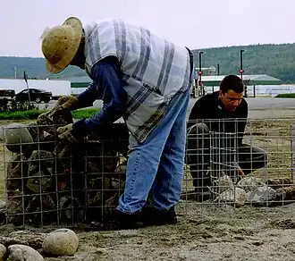 Toutes les lettres de l'alphabet sont utilisées afin de créer tous les mots de la langue française.