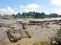 Restes d'épaves dans l'ancien cimetière à bateaux du fond de l'Anse de Pouldohan.