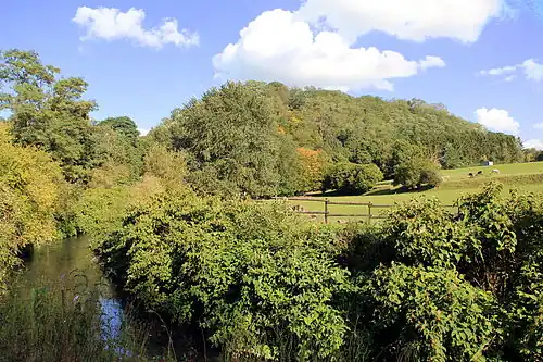 Le terril no&nbsp;1 vu de la rive gauche de la Haine.