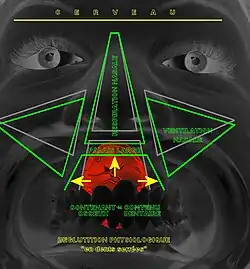 Fig.8. Déglutition salivaire physiologique, dite « en dents serrées ». Développement mature du massif facial. Respirateur nasal (physiologique).