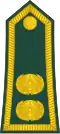 Patte d'épaule portant deux insignes dorés