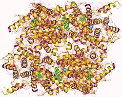 Description de cette image, également commentée ci-après