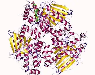 Image illustrative de l’article Énoyl-coenzyme A isomérase