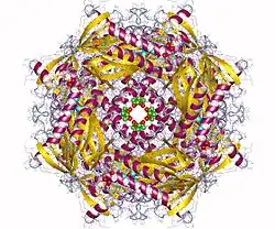 Description de cette image, également commentée ci-après