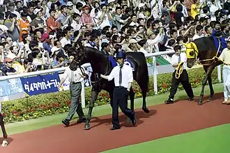 Image illustrative de l’article Symboli Kris S