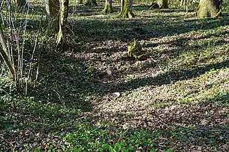 L'emplacement du puits.