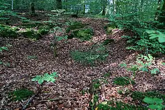 Un trou en entonnoir.