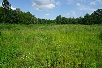 Photo similaire avec un angle plus resserré.