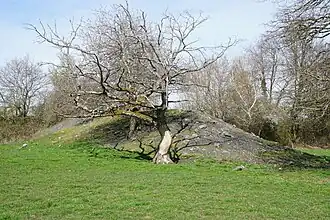 Le terril du puits François-Mathieu.