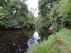 Le Scorff juste en aval de Pont Kerlo.