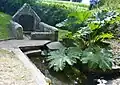 Gouesnach : la fontaine de Saint-Cadou.