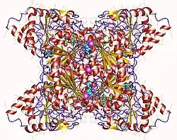 Description de cette image, également commentée ci-après