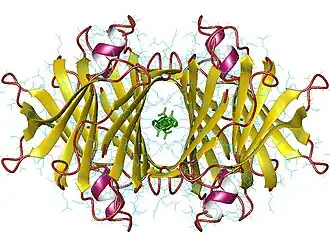 Image illustrative de l’article Transthyrétine