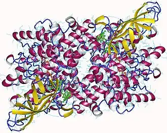 Image illustrative de l’article Acyl-coenzyme A déshydrogénase