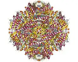 Description de cette image, également commentée ci-après