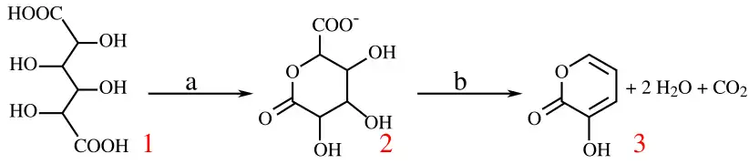 Conversion de l'acide mucique (1) en 3-hydroxy-2-pyrone (3) sous l'action d'hydrogénosulfate de potassium à 160&nbsp;°C pendant quatre heures (a) puis d'acide chlorhydrique jusqu'à pH = 7 (b).