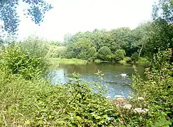 La rivière de Pont-l'Abbé : le plan d'eau (étang) du Moulin Neuf, partie amont (limite communale entre Tréméoc et Plonéour-Lanvern).