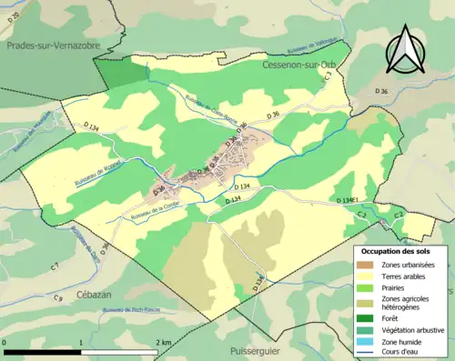 Carte en couleurs présentant l'occupation des sols.