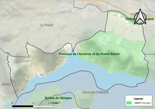 Carte des ZNIEFF de type 1 sur la commune.