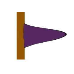 Carpophore réfléchi