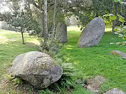 Plomelin : les menhirs de Pont-Menhir 1