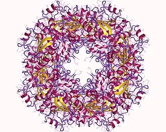 Description de cette image, également commentée ci-après