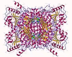 Description de cette image, également commentée ci-après