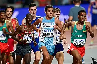 Image illustrative de l’article Luis Grijalva