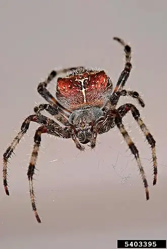 Description de l'image 5403395-LGPT.jpg.