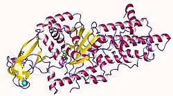 Description de cette image, également commentée ci-après
