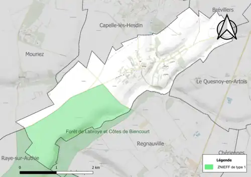 Carte de la ZNIEFF de type 1 sur la commune.