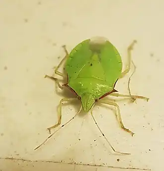 Description de cette image, également commentée ci-après