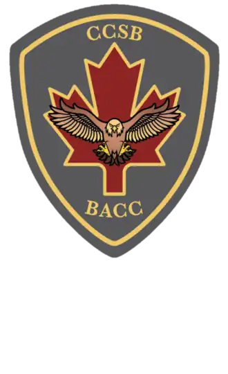 Image illustrative de l’article 6e Brigade d’appui au combat du Canada