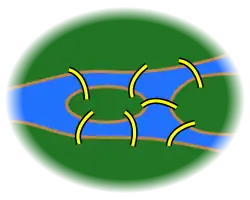  le réseau des sept ponts de la ville