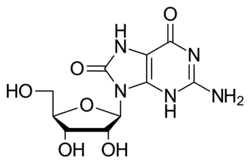 Image illustrative de l’article 8-Hydroxyguanosine