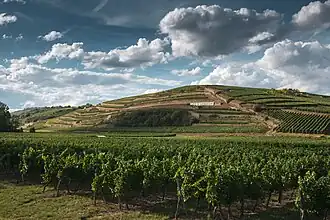 Image illustrative de l’article Clos Saint Landelin