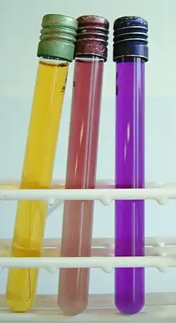 ADH (-) ODC (+) LDC (+) de Serratia marcescens