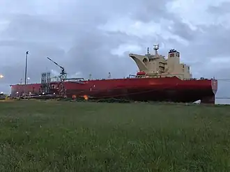 AMYNTAS, vue de 3/4 arrière.