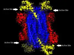 Description de cette image, également commentée ci-après