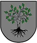 Blason de Birkfeld