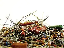 Les nombreuses formes et couleurs des résistances.