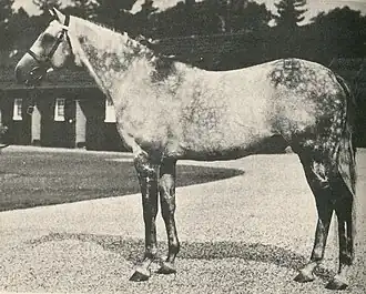 Image illustrative de l’article Abernant