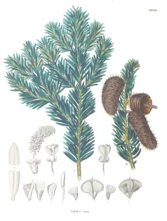 Description de cette image, également commentée ci-après