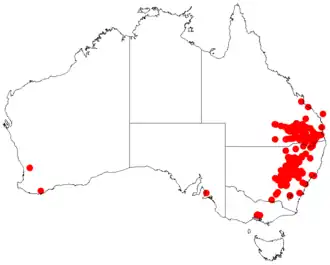 Description de l'image Acacia spectabilisDistMap834.png.